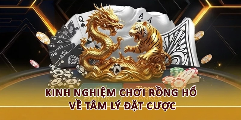 Kinh nghiệm chơi Rồng Hổ về tâm lý đặt cược